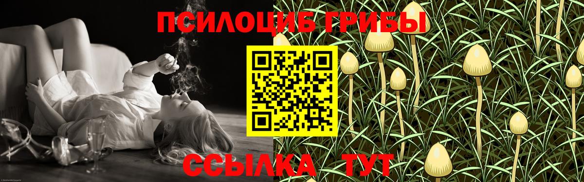 Псилоцибиновые грибы мухоморы  Вход с VPN  Москва  где найти наркотики  Псилоцибиновые грибы ЛСД 