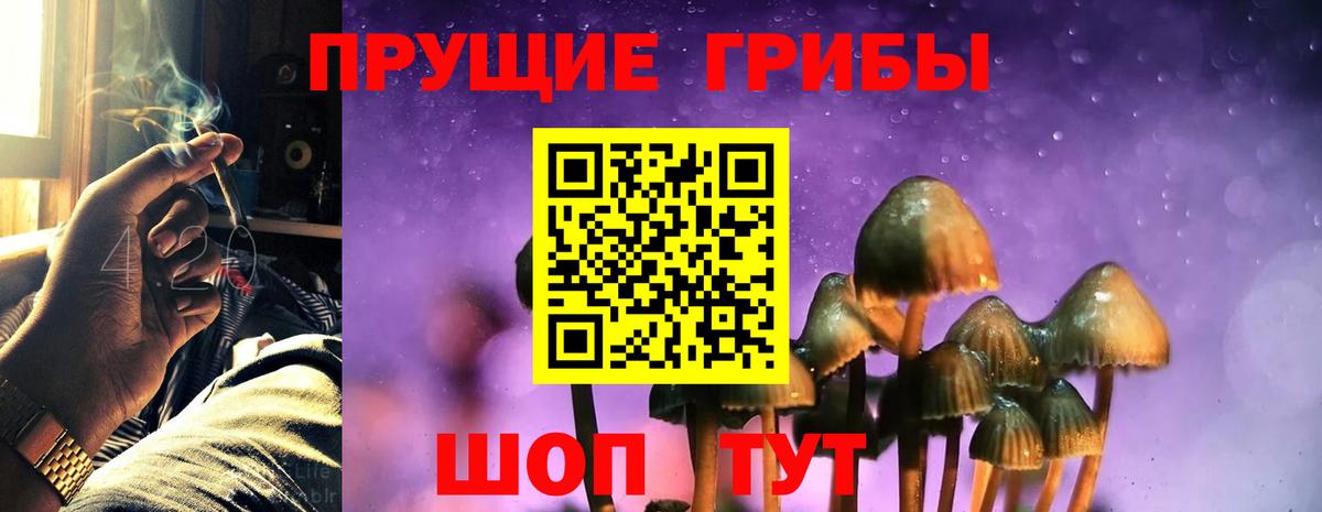 Галлюциногенные грибы MAGIC MUSHROOMS Москва